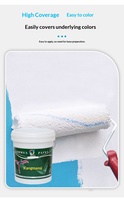Peinture extérieure au latex liquide, revêtement coloré, écologique, résistant au soleil, aux intempéries, aux moisissures et à l'humidité