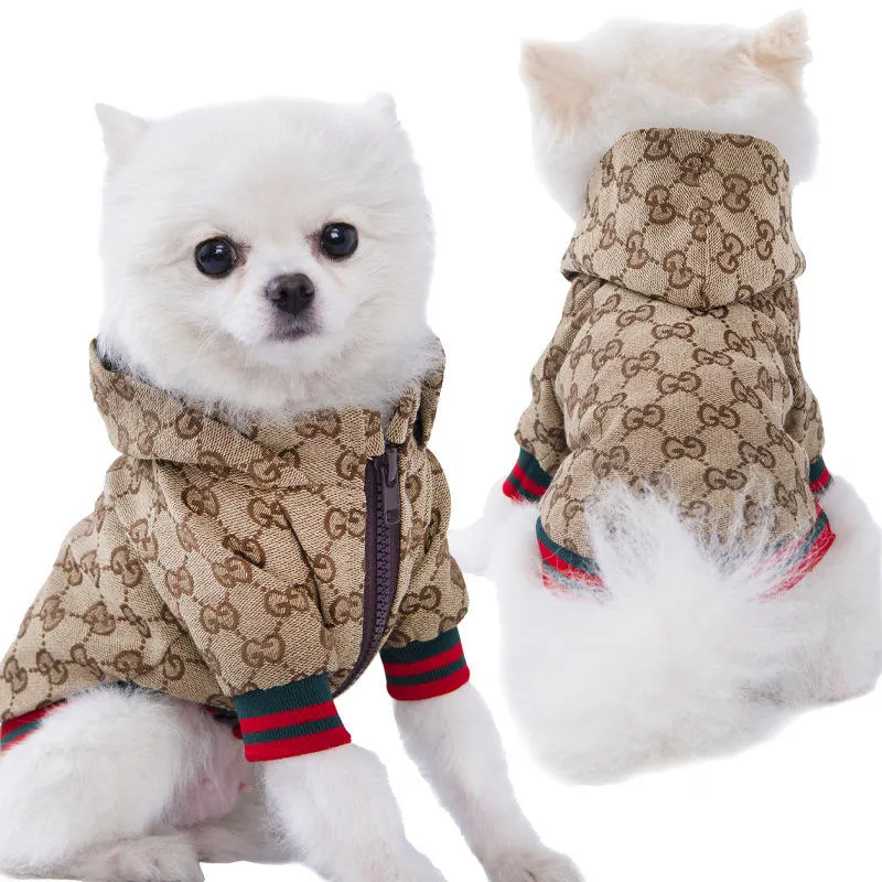 Jaket anjing Musim Dingin anjing Fashion populer baju anjing kucing baju anjing mewah untuk anak anjing Hoodie Teddy