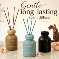 Diffuseur de parfum en céramique avec bouteille double boule Morandi et bâtonnets assortis, personnalisation artistique acceptée, parfum sur mesure, désodorisant d'intérieur