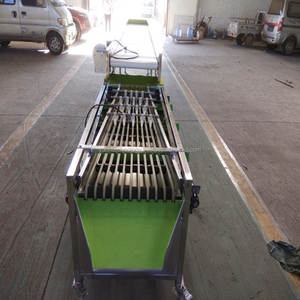 Machine de classification de manioc de nectarine de waxberry en acier inoxydable de haute qualité équipement de tri de dates de petits fruits moyens - Product Image 3