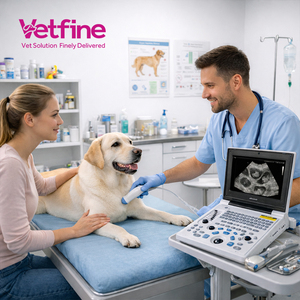 Mesin Pemindai USG Hewan Vet Black White, Peralatan Mesin USG Portabel Hitam Putih - Product Image 1