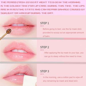 Organic Vegan Lips Care Exfoliating Strawberry Watermelon Apple Bee Lip Balm Sleeping Lip Mask - Product Image 3