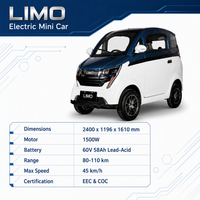 Nouvelle Voiture Électrique Miniature 2 Portes 3 Places Homologuée CEE – Vente Directe Usine