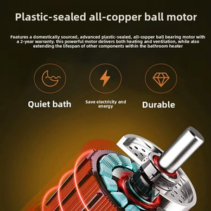 220 Chất lượng cao cạnh tranh 220V Ánh sáng trắng quạt trần phòng tắm cài đặt nhiệt tường nóng - Product Image 5