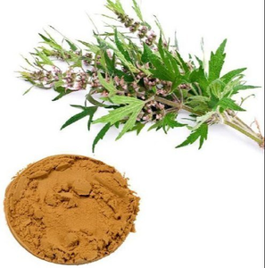 Grosir bubuk ekstrak <span class=keywords><strong>Leonuri</strong></span> larut air bubuk ekstrak Motherwort bubuk ekstrak Motherwort bubuk ekstrak 4:1 20:1 - Product Image 4