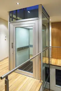 Glazen Hutten Lift Ontwerp Vracht 4 Personen Lift Passagier Rolstoel Verticale Home Lift Kleine Lift