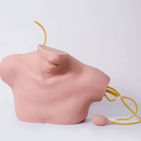 Modèle avancé de ponction interne de la veine jugulaire en PVC, simulateur de cathétérisme veineux central CE/ISO