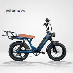 China Cheap Delivery Bike Moped Style Electric Bike Low Rider Electric Bike with Long Soft Saddle for Heavy Riders