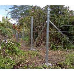 جودة عالية المجلفن سياج الميدان/الماشية سياج/بقرة السياج - Product Image 1