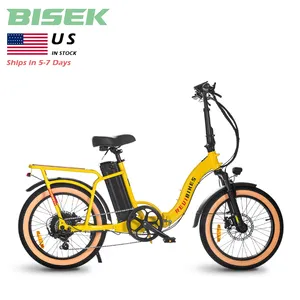 Stock en entrepôt aux États-Unis 2024 OEM 500w 750w 48V 10AH Ebike Hub Motor Fat Tire Vélo électrique pliant pour femme
