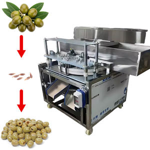 Otomatik Elektrikli Hurma Çekirdeği Çıkarma ve Çekirdek Giderme Makinesi 1.5kW Motorlu Hurma Çekirdeği Çıkarma Makinesi 100-200kg/saat Kapasiteli - Product Image 1