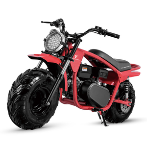 รถมอเตอร์ไซค์ Tao Motor 2025 รุ่นใหม่ โครงเหล็ก ยางอ้วน สำหรับขับขี่ออฟโรด 200 ซีซี มินิไบค์ - Product Image 2