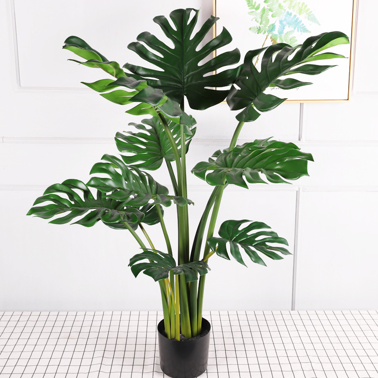 Écaille de tortue verte 120CM