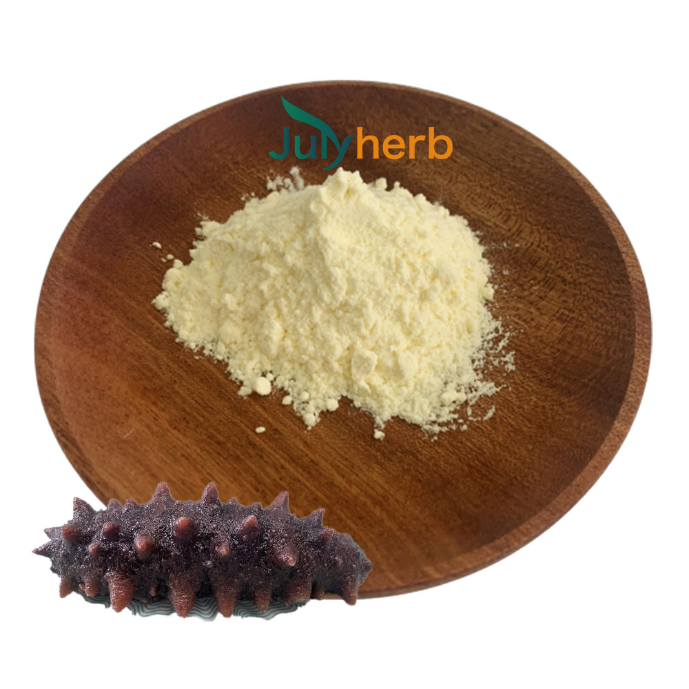 Оптовая Продажа с фабрики Julyherb, порошок морского огурца с коллагеном, порошок с 98% экстрактом морского огурца