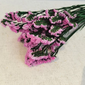 ขายส่งเก็บรักษาดอกไม้ <span class=keywords><strong>Myosotis</strong></span> <span class=keywords><strong>Sylvatica</strong></span> เก็บไว้ลืมฉันไม่ได้สำหรับการจัดดอกไม้ - Product Image 2