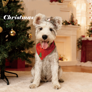 إكسسوارات قابلة للتعديل مريلة قابلة للغسل منديل وشاح مثلث كلب باندانا بيع بالجملة ترتان منقوشة باندانا كلب - Product Image 3