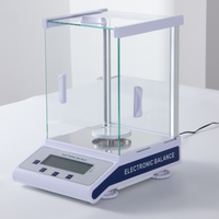 100g 200g 300g 500g Balance électronique de pesage numérique Balance analytique de laboratoire de bijoux de précision