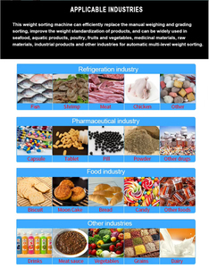 50KHZ 12cm yetişkin endüstriyel Metal dedektörü - Product Image 3