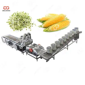 Pineapple Cleaning Machine Industrial Grape Melon Mango Cleaning Machine Peach Pineapple Washer Fresh Jujube Red Dates Washing Machine