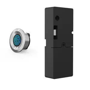 Security Safety Automatic Cabinet Electronic Smart Parcel Metal Electronic Lockers Cabinet Lock