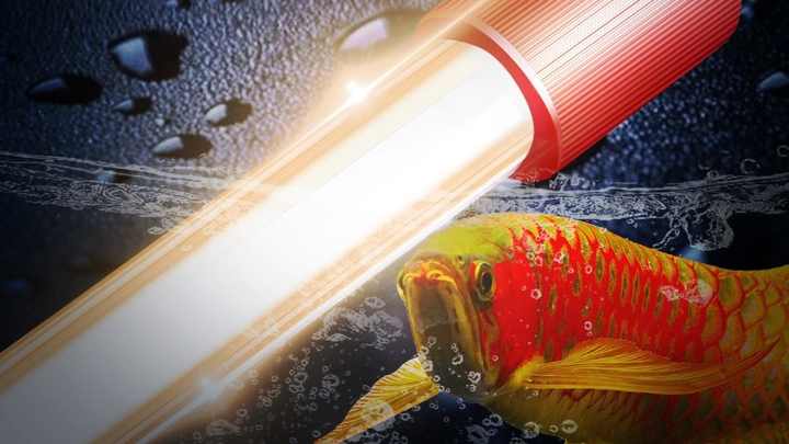 ピ*ト様 AROWANA TANNING LIGHT テンニング Arowana Tanning Light - LED Aquarium Light 2700K
