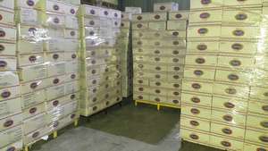 มัดา พลัส พาสต้าแห้ง 5 กก. บรรจุกล่องใหญ่ ฮาลาล ได้รับการรับรองมาตรฐาน ISO 9001 โปรตีน 12% ทำจากข้าวสาลีดูรัม สปาเก็ตตี้ยาว ผลิตในอียิปต์ - Product Image 3