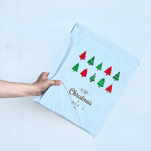 Custom Print Logo Nude Christmas Biodegradable Packaging Package Polythene Courier Poly Mailer Shipping Mailing Bags for Tshirt - Product Image 2