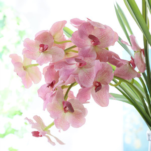 K1004 Artificiale <span class=keywords><strong>vanda</strong></span> fiore di orchidea <span class=keywords><strong>vanda</strong></span> casa fiore decorativo - Product Image 5