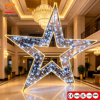 Maßgefertigtes 2D LED-Sternmotiv-Licht IP65 Außen-Weihnachtslandschaftsdekoration