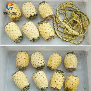 เครื่องปอกเปลือกผลไม้เครื่องปอกเปลือกผลไม้เครื่องปอกเปลือกแบบตั้งโต๊ะ FXP-66S - Product Image 5