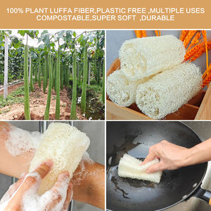 Nueva Esponja de Luffa para Platos, Ecológica, Biodegradable, Sostenible, Natural, con Informe de Prueba de Seguridad Alimentaria, 250% de Absorción de Agua - Product Image 4