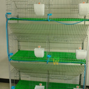 Cages à pigeons galvanisées en usine, capacité 12 et 16 pigeons, cages d'élevage de pigeons, cages pour la course et l'élevage, design pliable et durable - Product Image 3