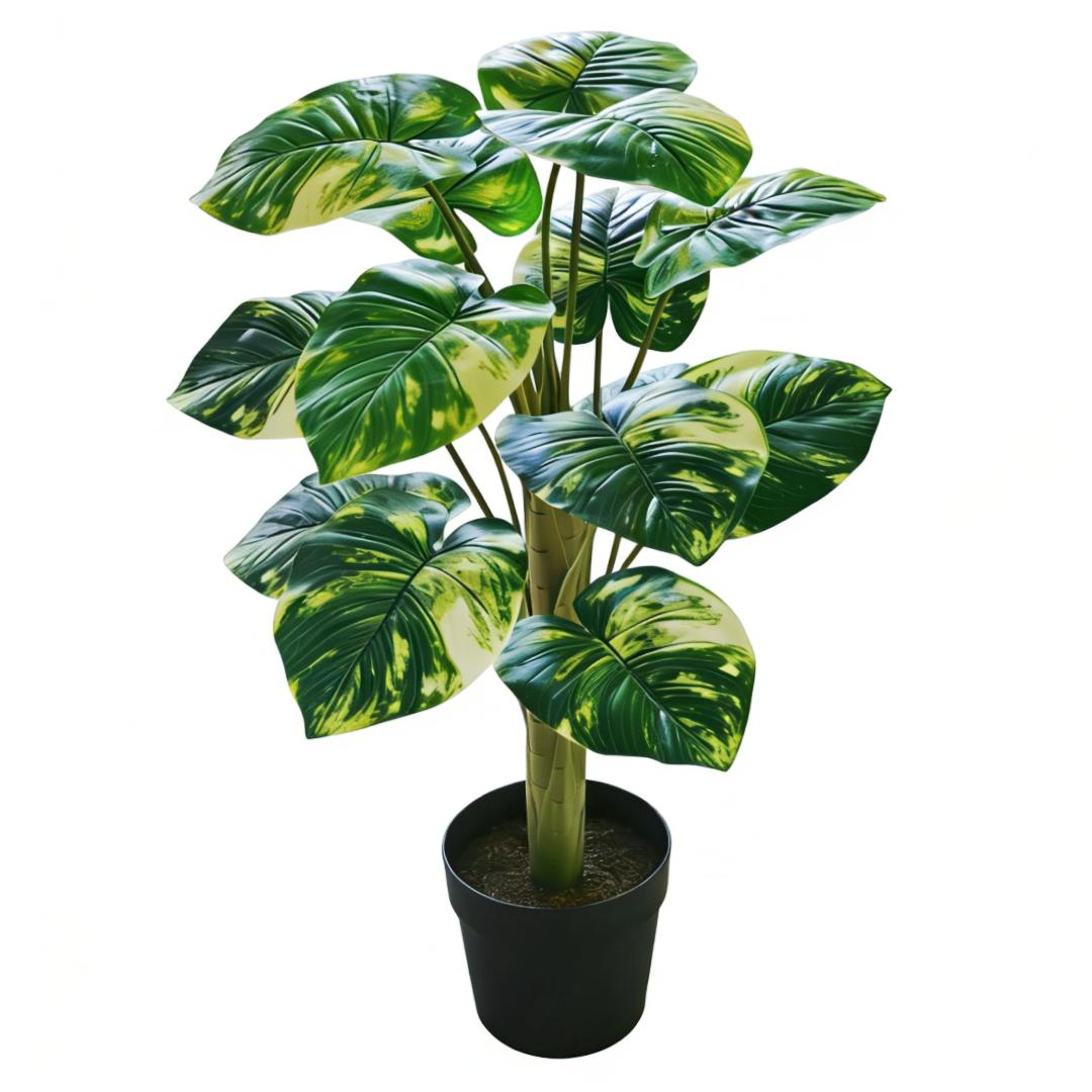 Variegé