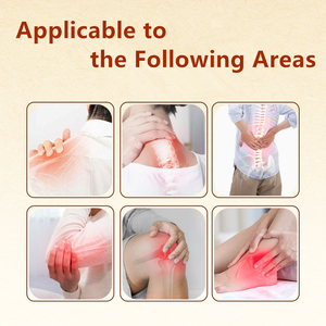 1箱入り TCM 蜂毒入り蜂蜜配合 経皮吸収促進 素晴らしい局所貼付剤 - Product Image 2