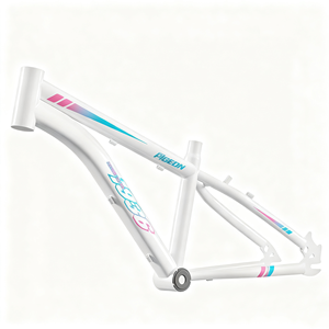 Niveau débutant à avancé Riders Single Speed Teen Bike Trick Bicycle Girls Boys Children Mountain Bike - Product Image 5