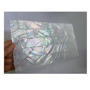 Lámina de Nácar Natural de Agua Dulce al por Mayor, Lámina de Madreperla Blanca para Manualidades, Fundas de Teléfono, Decoración del Hogar y Muebles - Product Image 1
