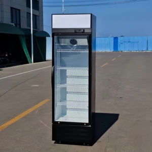 Réfrigérateur vertical commercial pour boissons, à température unique, avec porte vitrée et étagères réglables, à température mécanique - Product Image 5