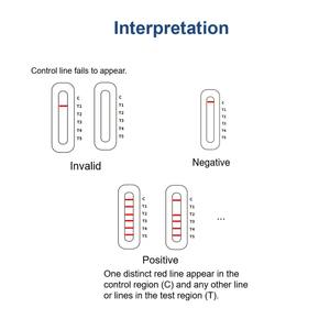 패널 2 개견 알레르기 특이 IgE 항체 검사 키트 - Product Image 6