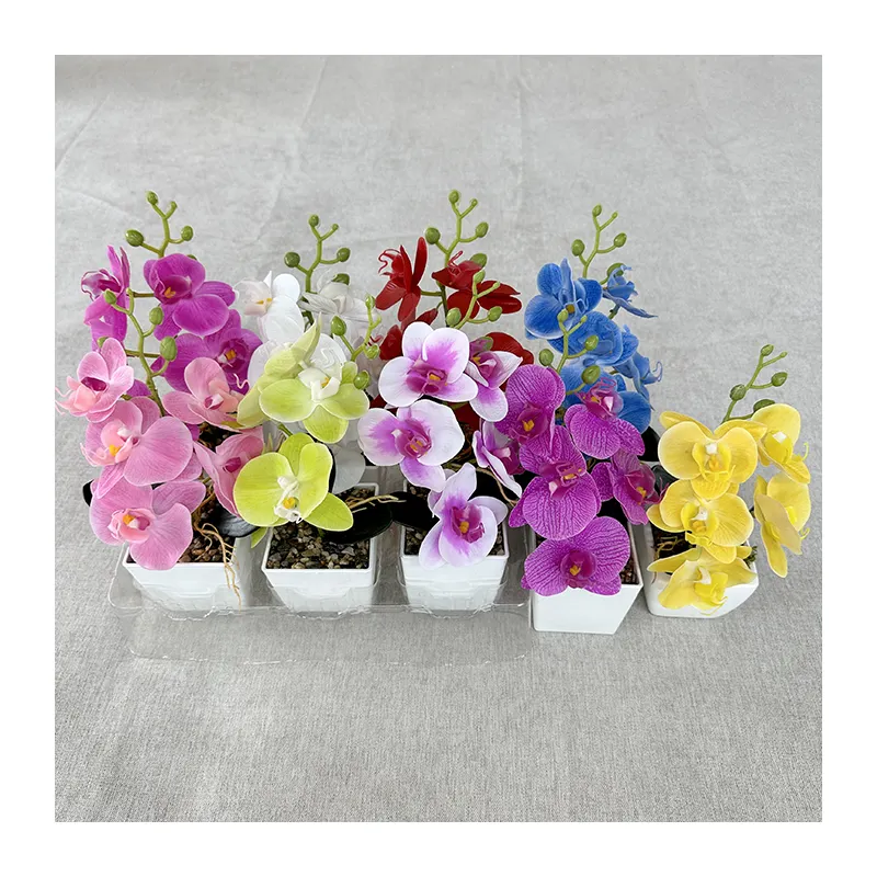 mini bonsai 5 flower heads real touch Orchid flower Bonsai Phalaenopsis Orchid plant Set Real Touch flower
