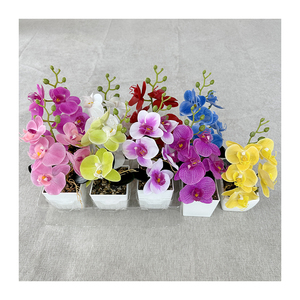 Mini <span class=keywords><strong>Bonsai</strong></span> 5 Kuntum Anggrek Sentuhan Asli <span class=keywords><strong>Bonsai</strong></span> Anggrek <span class=keywords><strong>Phalaenopsis</strong></span> Set Tanaman Anggrek Sentuhan Asli - Product Image 3