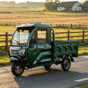 Triciclo Cargo con Cabina Integrata in Lamiera, Certificazione EEC COC, Dotato di Motore ad Alta Potenza 72V 1500W - Product Image 3