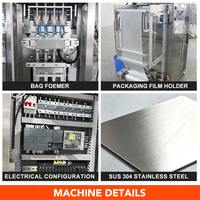 Machine d'emballage automatique multi-voies pour sachets de sauce tomate, sauce piquante, liquides visqueux, pâtes et ketchup