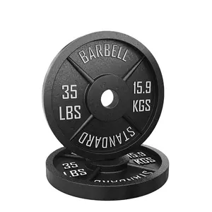 杠铃板定制标志铸铁保险杠板健身房重量盘45磅实心铸铁重量板