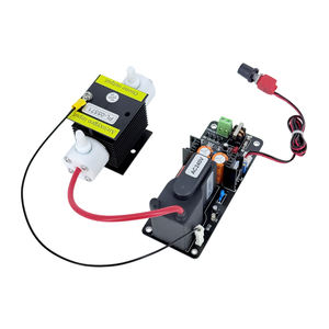 CE FCC ROHS Producto patentado 1 G/H 1 gramo Kit generador de ozono ajustable Fabricante de módulos de ozono de alta calidad - Product Image 4