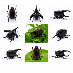 <span class=keywords><strong>Jouet</strong></span> insecte <span class=keywords><strong>à</strong></span> <span class=keywords><strong>remonter</strong></span> ChaoBang, directement de l'usine, mécanisme <span class=keywords><strong>à</strong></span> tirer, style amusant pour enfants, plastique ABS durable, couleurs personnalisées, vente en gros - Product Image 1