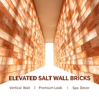Briques de sel rose de l'Himalaya 100% naturelles, en cristal brut, pour construction murale, salles de sel, sauna, spa, halothérapie