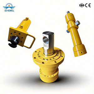 Vérin hydraulique à double effet non standard avec tige de piston chromée dure pour presses hydrauliques – Garantie 1 an - Product Image 1