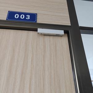 Kit de Contrôle d'Accès Autonome IP68 280KG avec Serrure Électromagnétique, Lecteur de Carte RFID/IC et Clavier Métallique pour Porte - Product Image 6