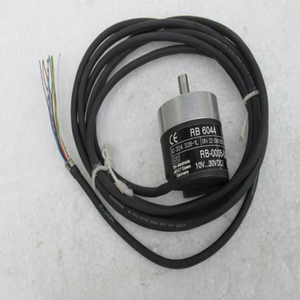 وحدة تحكم منطقية قابلة للبرمجة (PLC) جديدة أصلية جاهزة للاستخدام في المستودعات والأتمتة الصناعية طراز RB6044 RB-0005-I24L2 - Product Image 1