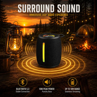 Lampes LED portables personnalisées, haut-parleurs sans fil BT pour les fêtes en plein air et à domicile